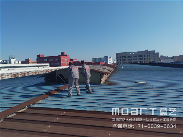 祝贺秋葵视频免费官网下载建材与温州东风化工机械有限公司达成合作