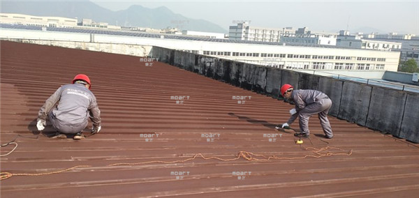 宁波秋葵视频在线观看免费播放在线观看翻新