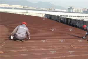 生锈的秋葵视频在线观看免费播放在线观看还能翻新吗？