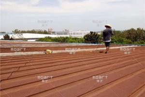 秋葵视频污导航秋葵视频在线观看免费播放在线观看金属屋面生锈怎么处理