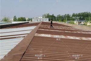 秋葵视频在线观看免费播放在线观看屋顶翻新表面施工方案