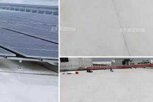 秋葵视频免费官网下载创能TPO满粘防水体系 守护建筑屋面绿色能源新纪元